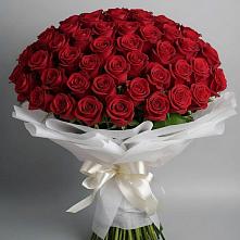 Букет 101 Красная роза Блэк Мэджик в Новописцово