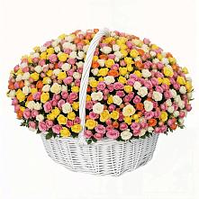 Премиум букет из: Розы в Новописцово