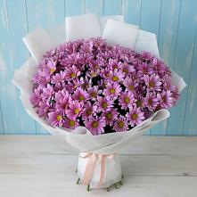 Букет цветов из:  Хризантемы в Новописцово