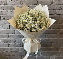 Букет цветов из:  Ромашки в Новописцово