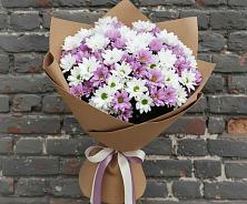 Букет цветов из:  Хризантемы #REPLACE_PRED# Новописцово