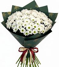 Букет цветов из:  Хризантемы #REPLACE_PRED# Новописцово