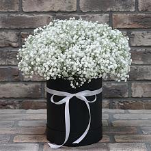 Цветочная композиция из Гипсофила в шляпной коробке в Новописцово