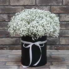 Цветочная композиция из Гипсофила в шляпной коробке в Новописцово