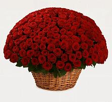 Премиум букет из: Розы #REPLACE_PRED# Новописцово